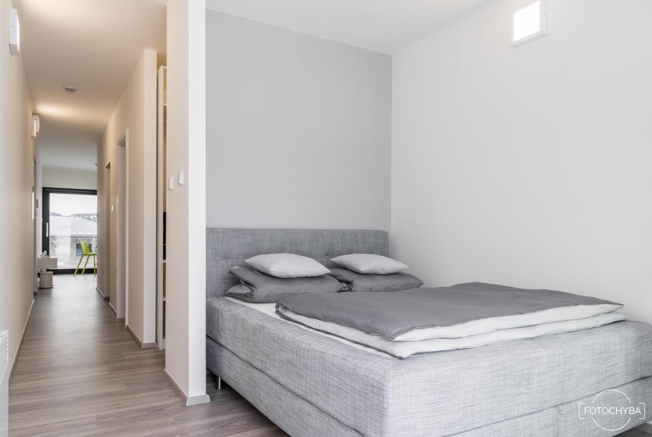 Klinak Horsky Dum 140 Villa Loučná pod Klínovcem Exteriör bild